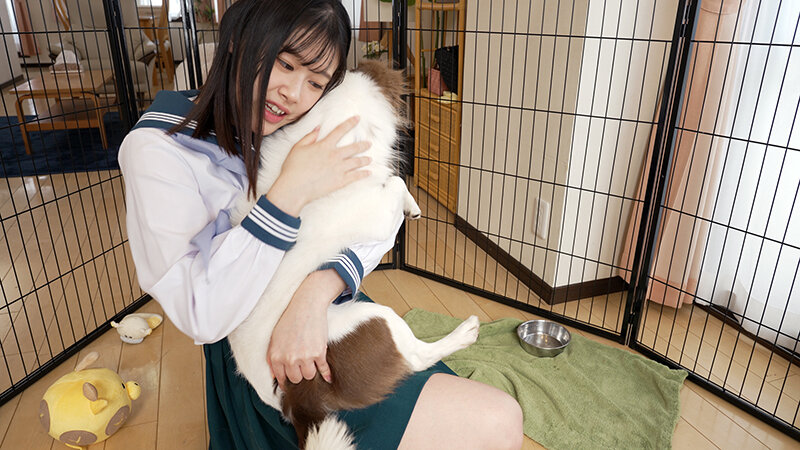 転生したら（天使のような巨乳女子校生の）犬だった件 - サンプル画像 - 2
