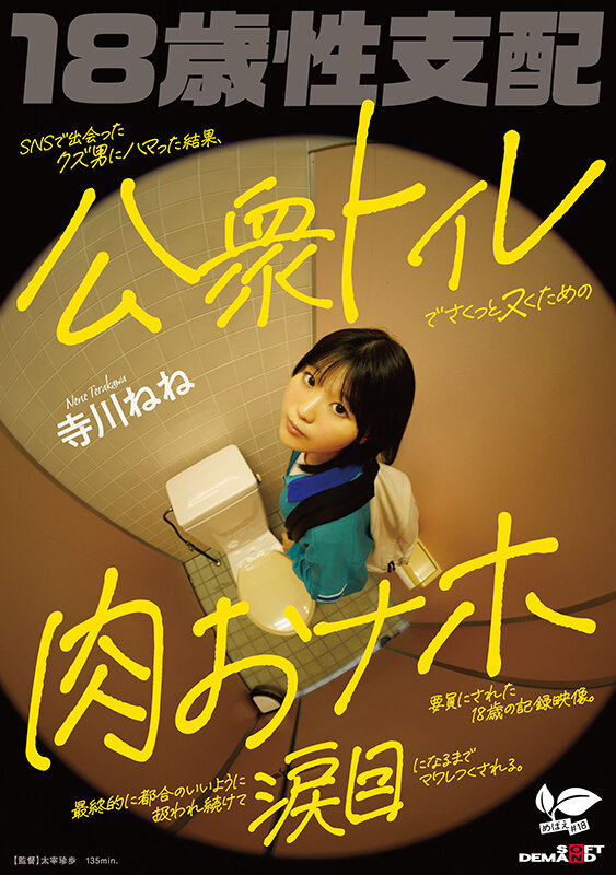 SNSで出会ったクズ男にハマった結果、公衆トイレでさくっとヌくための肉おナホ要員にされた18歳の記録映像。最終的に都合のいいように扱われ続けて涙目になるまでマワしつくされる。 寺川ねね - サンプル画像 - 1