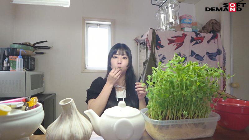 七色のあえぎ声 目指せ！エロゲ声優！六華ノアAVデビュー！ - サンプル画像 - 14