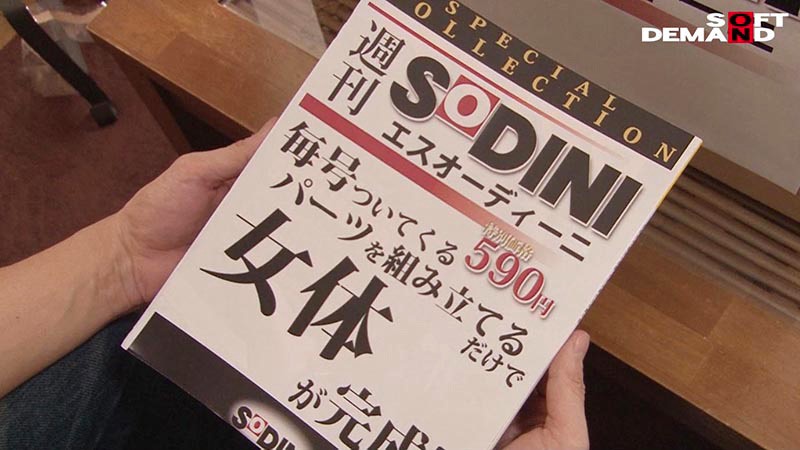 週刊「彼女」創刊 組み合わせは無限大！毎週送られてくるパーツで作る僕だけの変幻自在SEX玩具 - サンプル画像 - 2