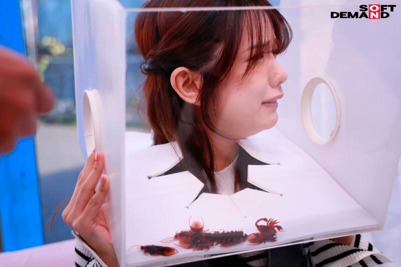 ’FREEZE’し続けられたら賞金ゲット！ どんな妨害をされても絶対に動いちゃダメ！ ウブな女子大生限定！ ノーリアクションで快感ガマン耐久チャレンジ！！ - サンプル画像 - 8