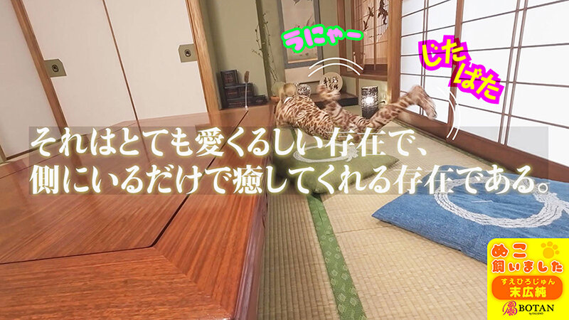 ねこ飼いました【POV】 末広純 - サンプル画像 - 4