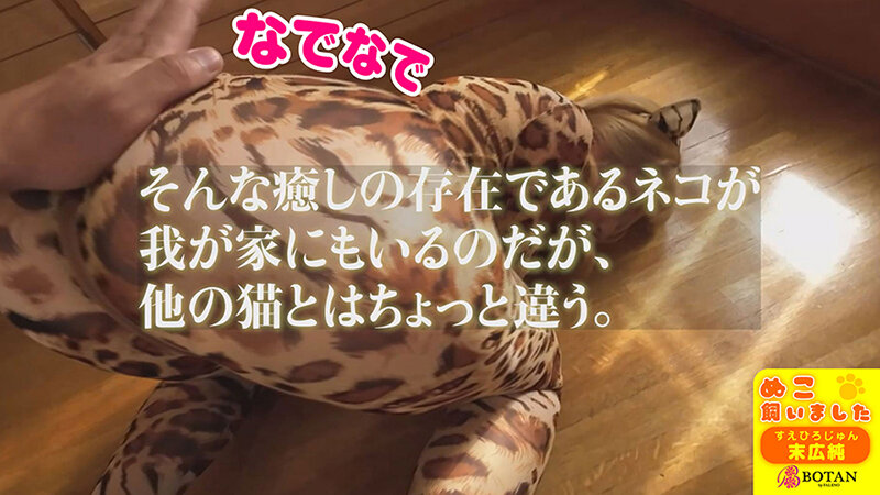 ねこ飼いました【POV】 末広純 - サンプル画像 - 5