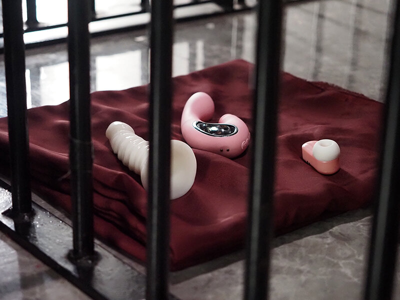 ドM娘 玩具責めレクチャー 一色さら - サンプル画像 - 11