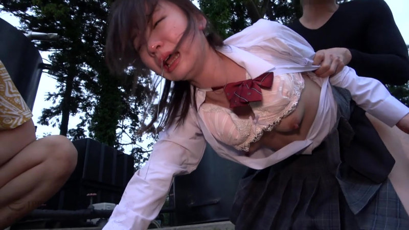 泣き叫ぶ！絶叫する美少女を無理やり●す鬼畜レ●プ映像集4時間 - サンプル画像 - 6