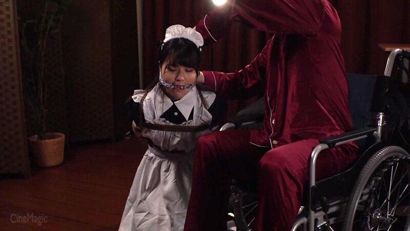 哀虐のトリスターナ 家庭内メイドマゾ牝覚醒 さのさとり - サンプル画像 - 4