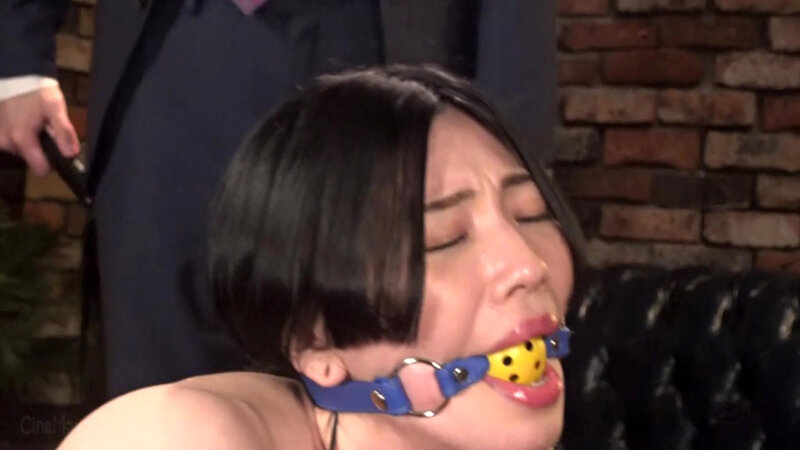 美畜秘書の系譜 美尻酷虐マゾペット 響かれん - サンプル画像 - 20