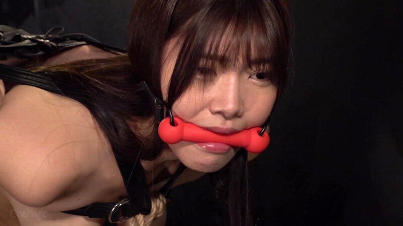どS傲慢社長令嬢 奈落の美肉奴破壊 美木ひなの - サンプル画像 - 17