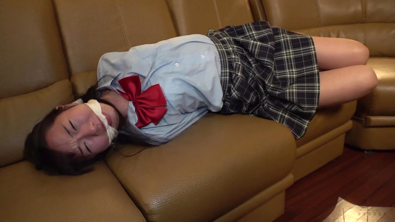 DID猿轡着衣拘束 パンティーの中にバイブを仕込まれ放置される女 - サンプル画像 - 19