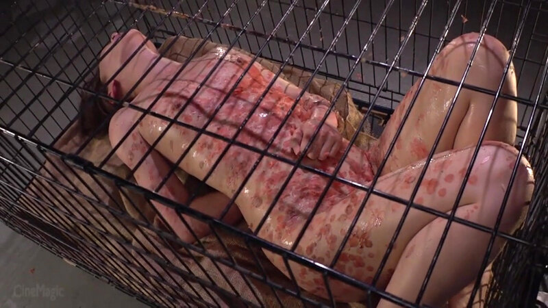 牝檻収監 飼い慣らされた二匹のマゾ犬 - サンプル画像 - 5