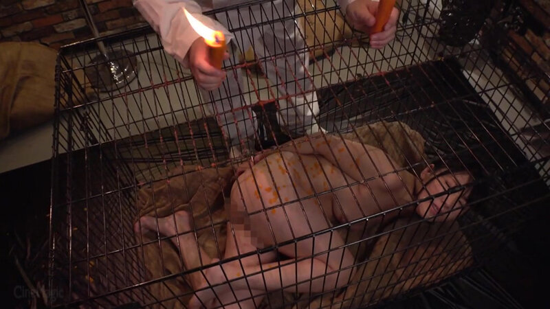 牝檻収監 肛交肉便器マゾ犬狩り ゆうきすず - サンプル画像 - 2