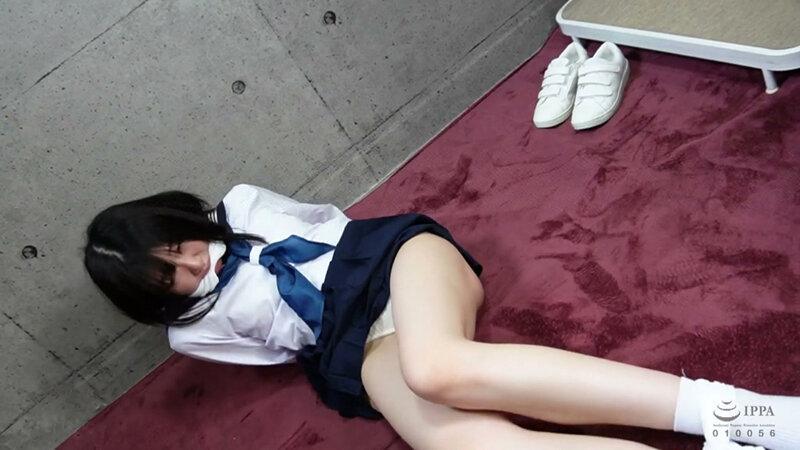 Damsel in Distress 苦難の乙女2 - サンプル画像 - 17