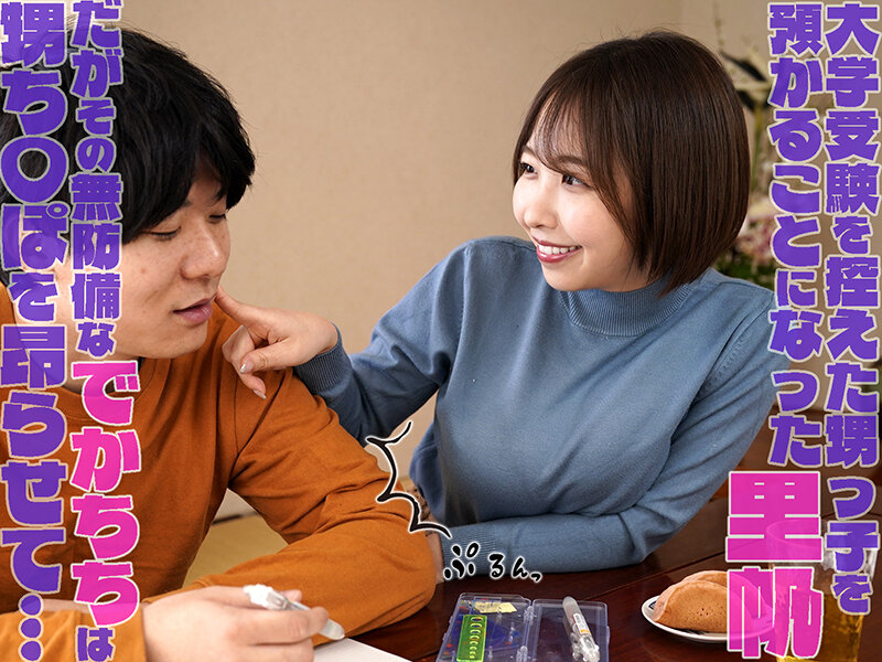 憧れの爆乳叔母の着衣おっぱい探検～卑猥に膨らんだセーターの内側に顔を埋め続けた記憶～ 宍戸里帆 - サンプル画像 - 1