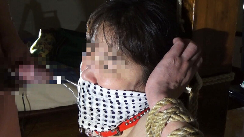 某大学教授の秘匿SM映像 - サンプル画像 - 7