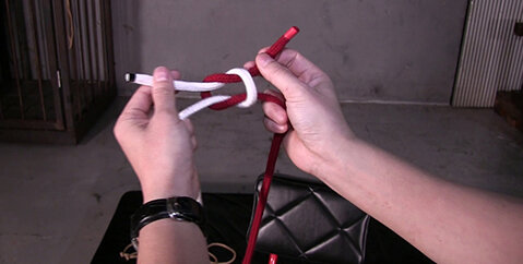 実戦で使える！SM責め技マニュアル - サンプル画像 - 17