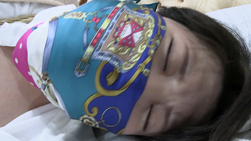 囚われの緊縛令嬢 DIDコレクション1 - サンプル画像 - 13