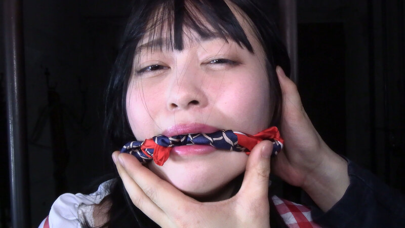 囚われの緊縛令嬢 DIDコレクション1 - サンプル画像 - 2