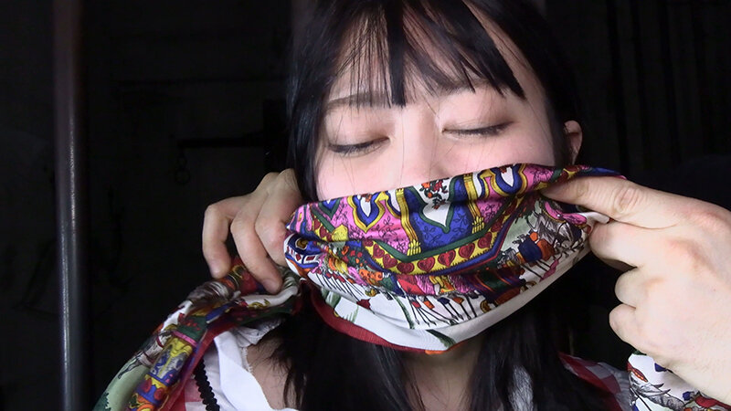 囚われの緊縛令嬢 DIDコレクション1 - サンプル画像 - 3