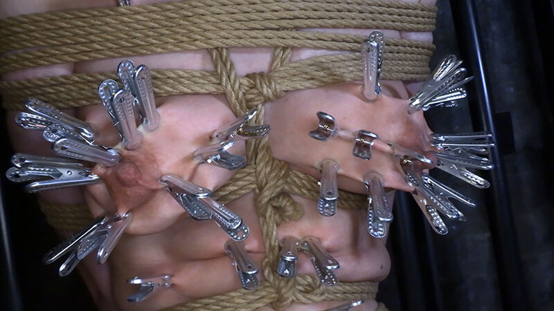 被虐の麗奴 有馬早智子 - サンプル画像 - 3