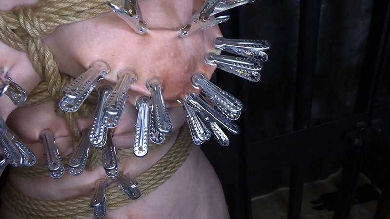 被虐の麗奴 有馬早智子 - サンプル画像 - 4