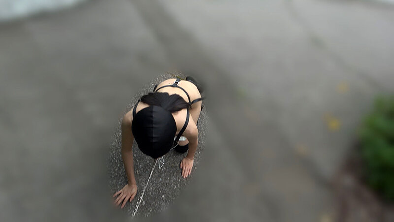 家畜人ケイコの調教記録 - サンプル画像 - 11