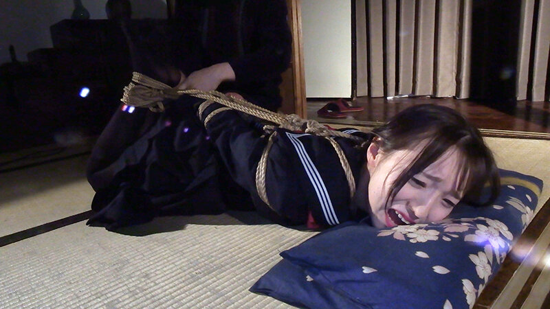 囚われの緊縛令嬢 DIDコレクション2 - サンプル画像 - 14