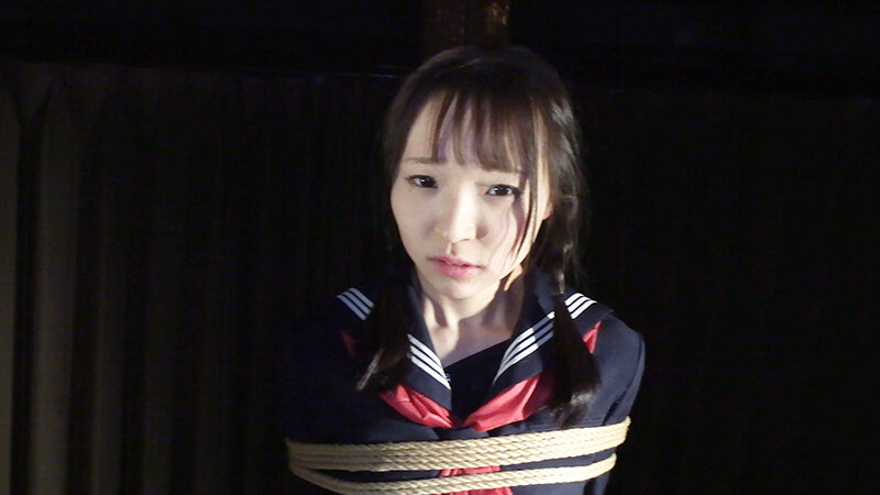 囚われの緊縛令嬢 DIDコレクション2 - サンプル画像 - 17