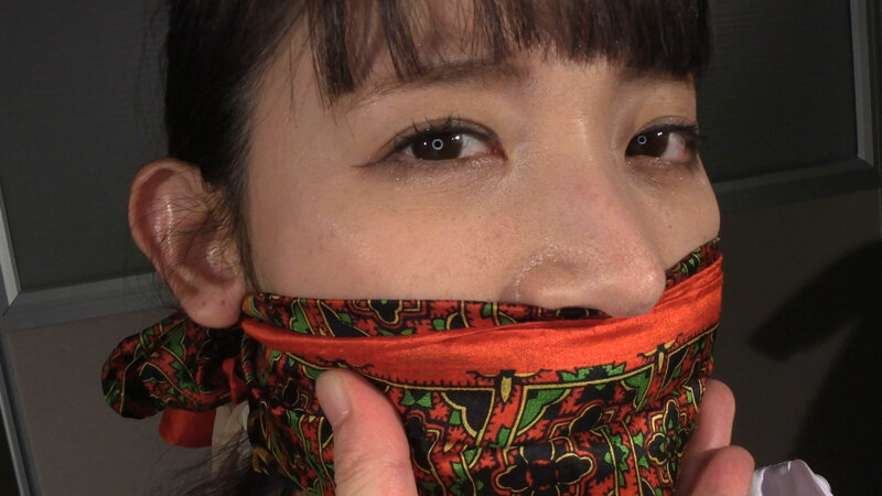 囚われの緊縛令嬢 DIDコレクション3 - サンプル画像 - 19