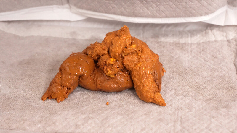 汗っかき美女大量排泄 餅田ササピリカ - サンプル画像 - 8