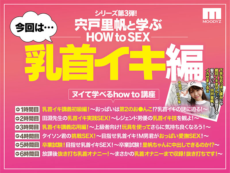 観れば絶対乳首イキさせられる！アナタもヌイて学べる宍戸里帆と一緒に！How to SEX！「乳首イキできたら中出し」編 - サンプル画像 - 2