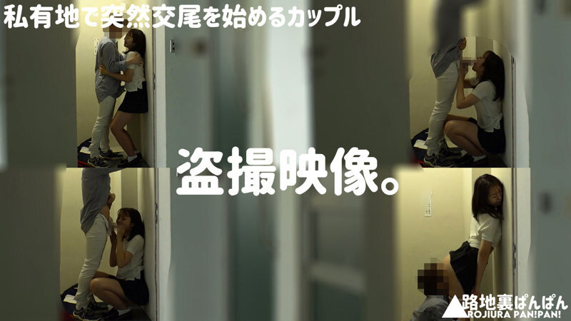 【流出映像】変態カップル 公然SEX盗撮 250分 屋外変態露出、愛撫、フェラ、腰振り交尾…これがアマチュアカップルの隠れSEXのリアル - サンプル画像 - 1
