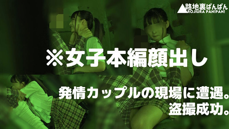 【流出映像】変態カップル 公然SEX盗撮 250分 屋外変態露出、愛撫、フェラ、腰振り交尾…これがアマチュアカップルの隠れSEXのリアル - サンプル画像 - 9